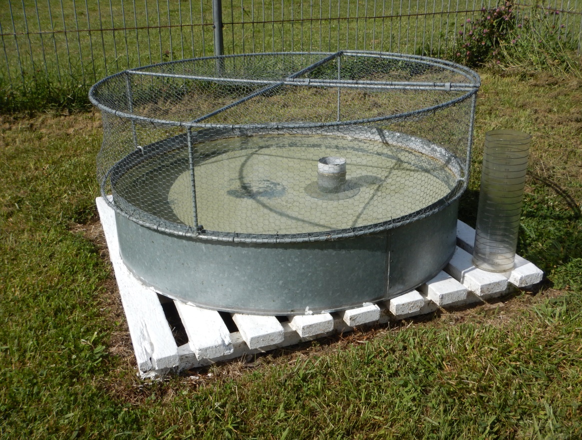 Image Evaporation pan at the East Armidale weatherstation. The pan is